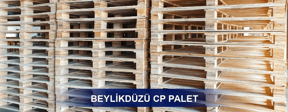 Beylikdüzü Standart Tipler